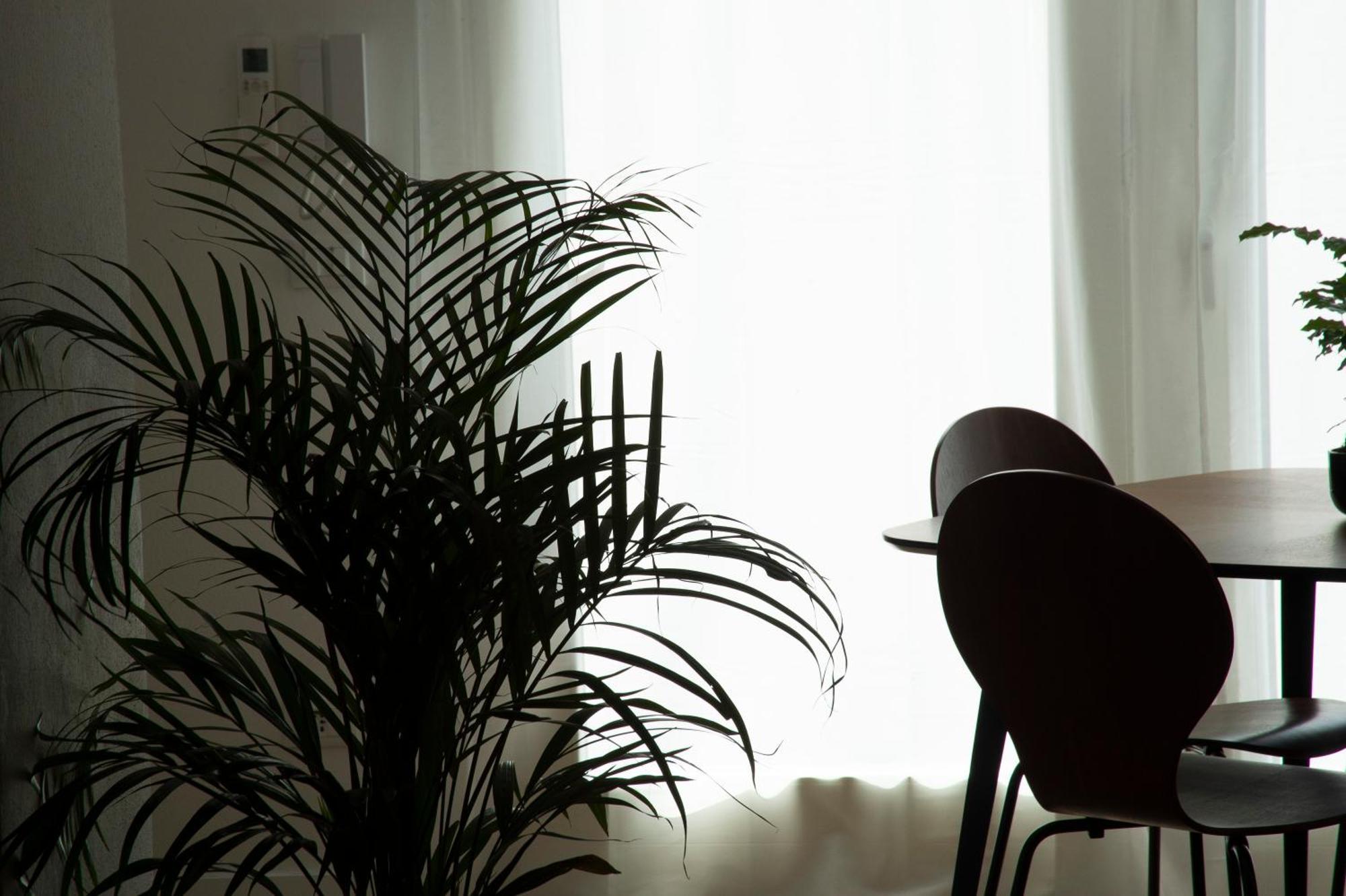 Ca Glera - Vintage Design Apartment 雷维内拉戈 外观 照片